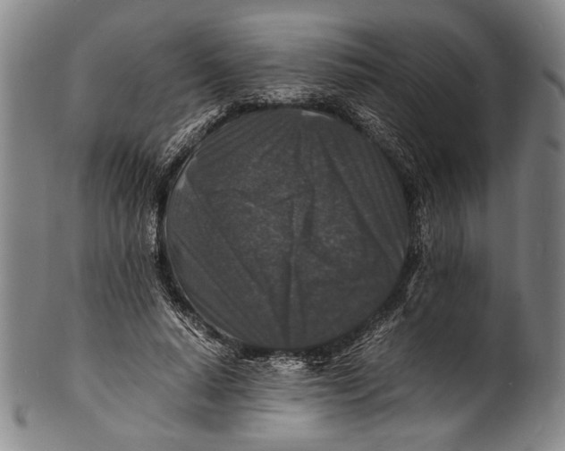 X0000100850640200807111217