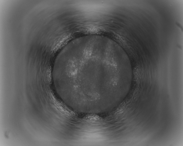 X0000100850642200807111217