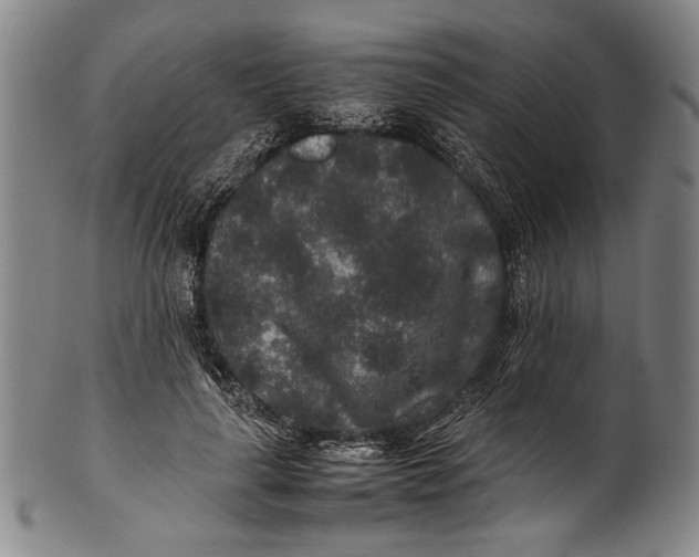 X0000100850643200807111217