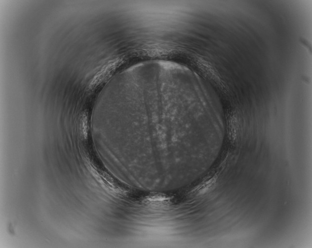 X0000100850644200807111217