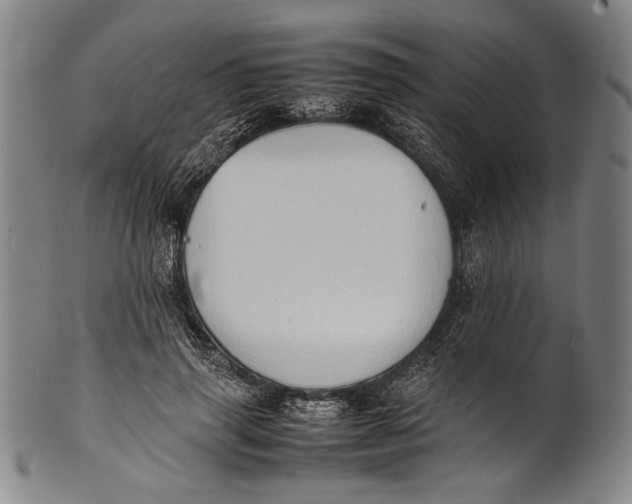 X0000100850645200807111217