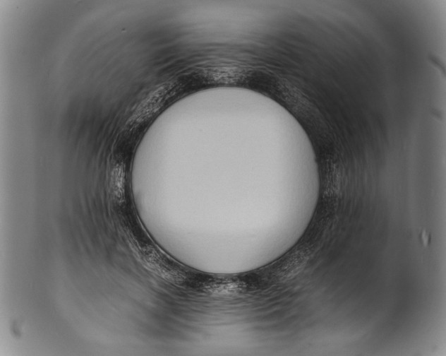 X0000100850646200807111217