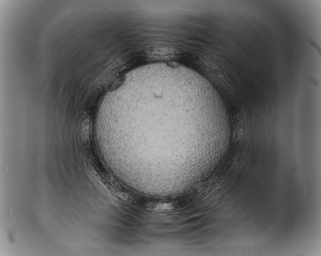 X0000100850647200807111217