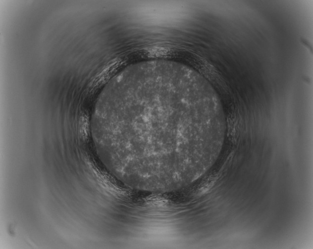 X0000100850648200807111217