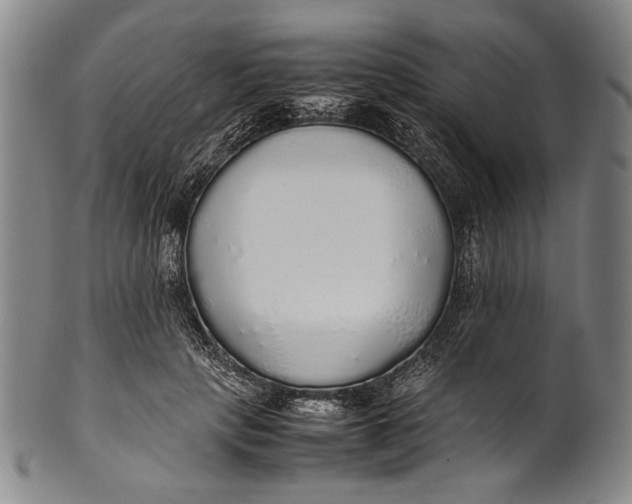 X0000100850649200807111217