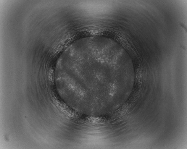 X0000100850650200807111217