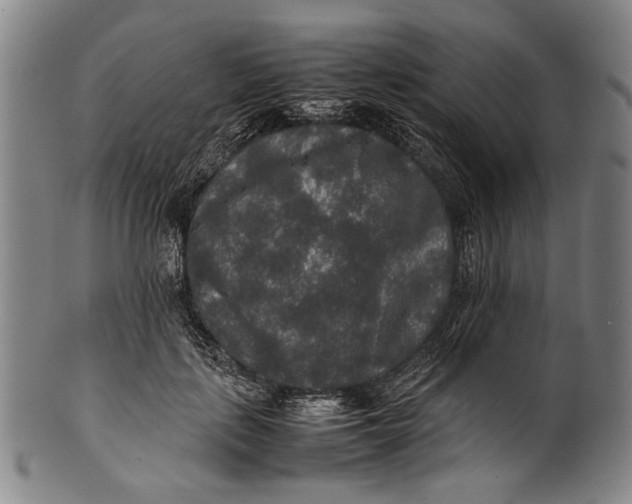 X0000100850651200807111217