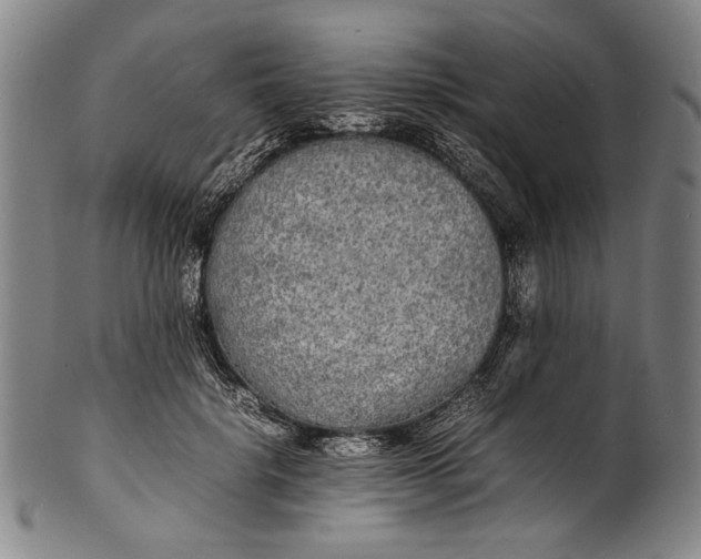 X0000100850652200807111217