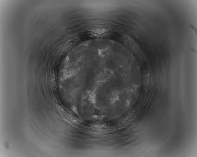 X0000100850653200807111217