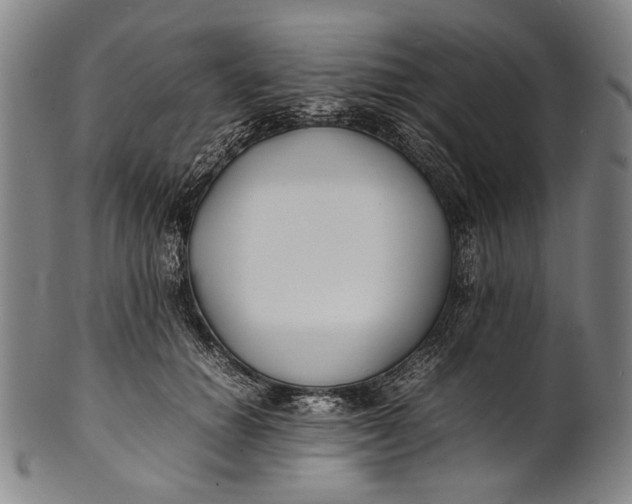 X0000100850654200807111217