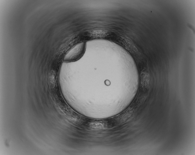 X0000100850655200807111217