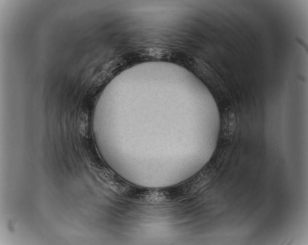 X0000100850656200807111217