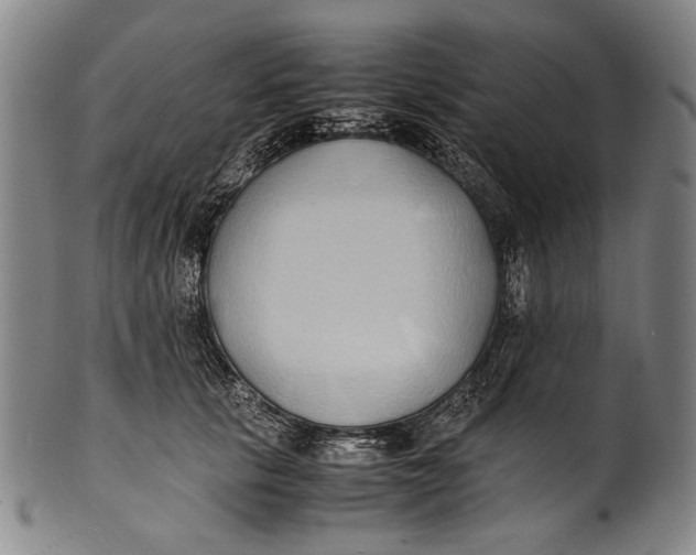 X0000100850657200807111217