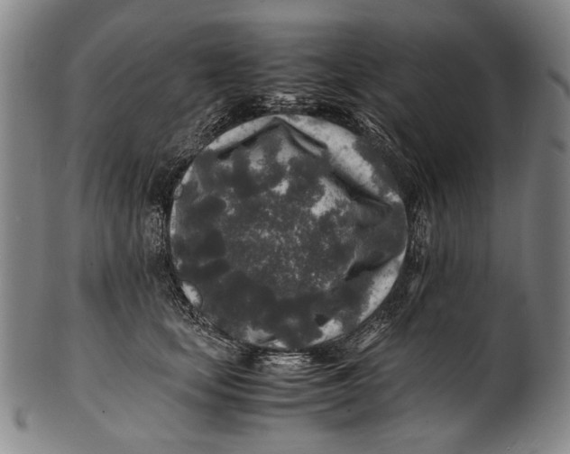 X0000100850659200807111217