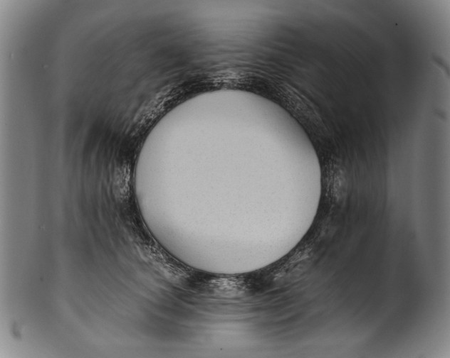 X0000100850660200807111217