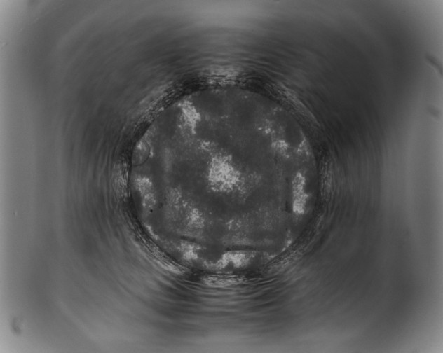 X0000100850661200807111217