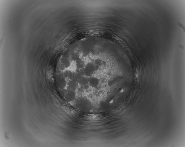 X0000100850663200807111217