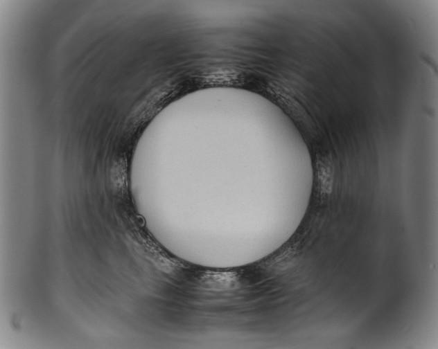 X0000100850665200807111217