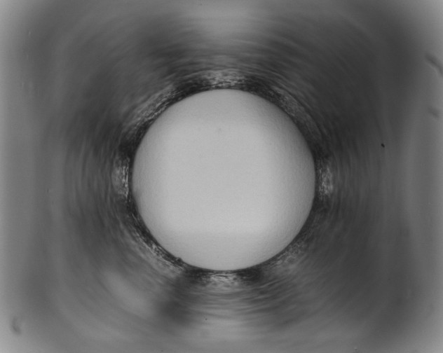 X0000100850666200807111217