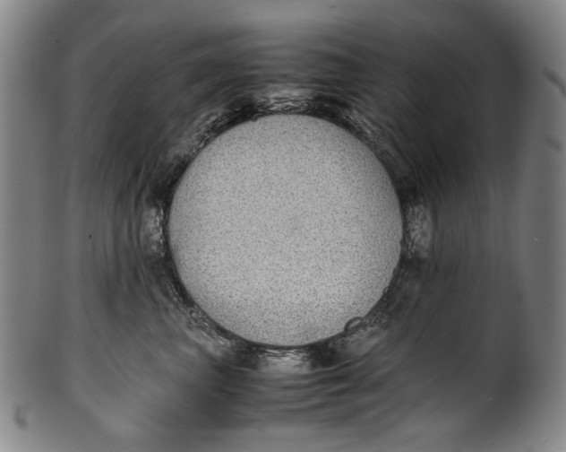 X0000100850667200807111217