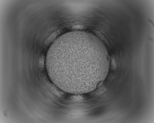 X0000100850668200807111217