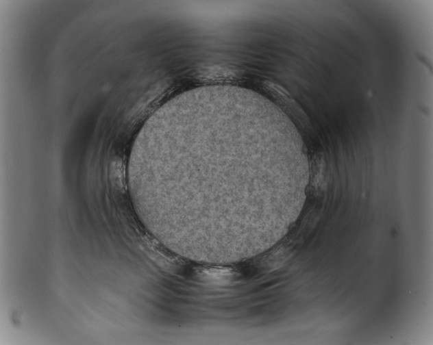 X0000100850669200807111217