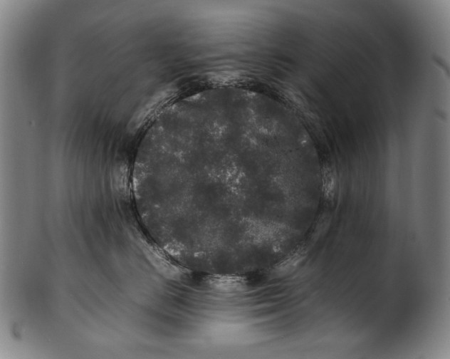 X0000100850670200807111217