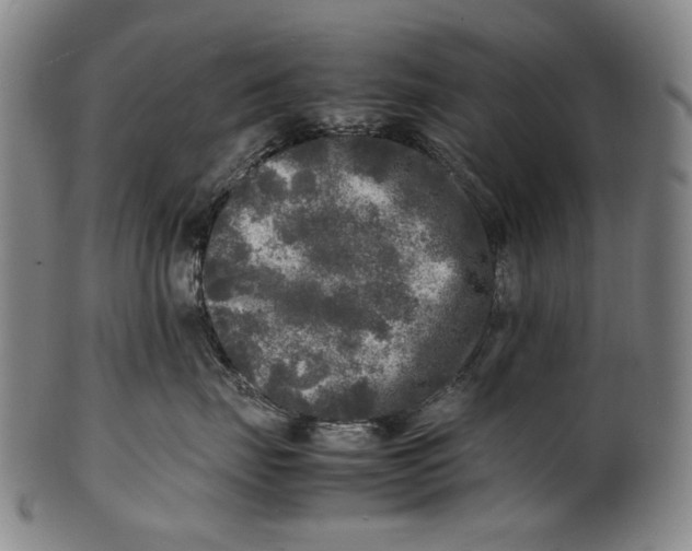 X0000100850671200807111217