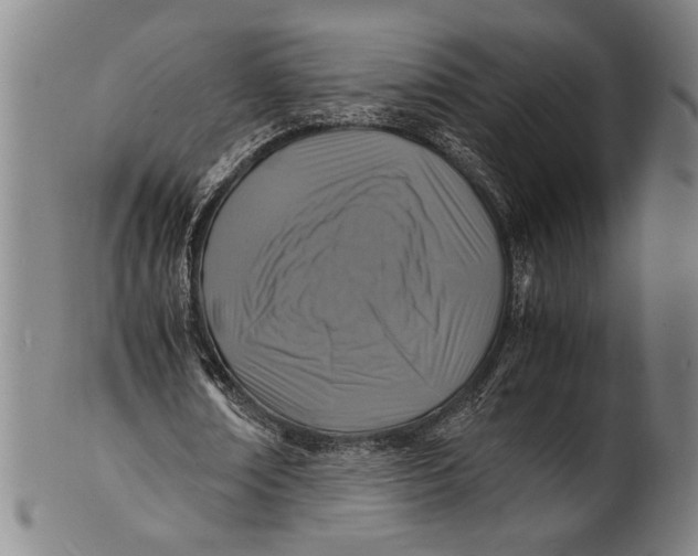 X0000100850674200807111217