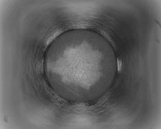 X0000100850675200807111217