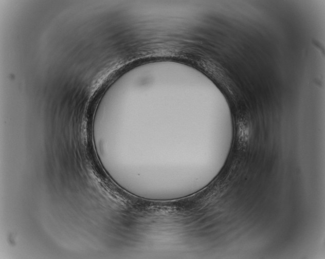 X0000100850676200807111217