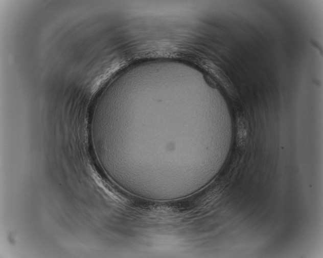 X0000100850677200807111217