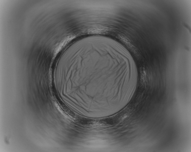 X0000100850678200807111217