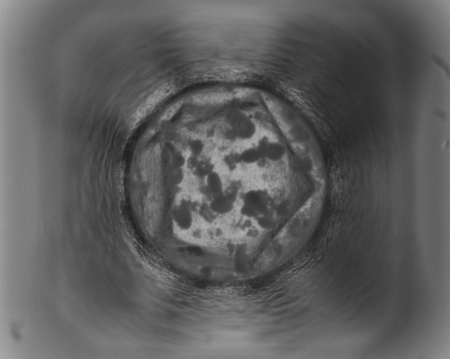 X0000100850679200807111217