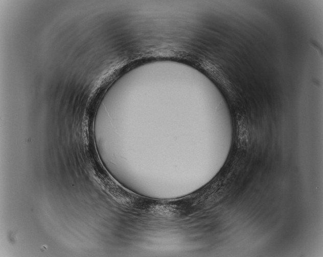 X0000100850680200807111217