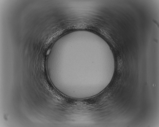 X0000100850681200807111217