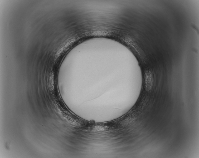 X0000100850684200807111216