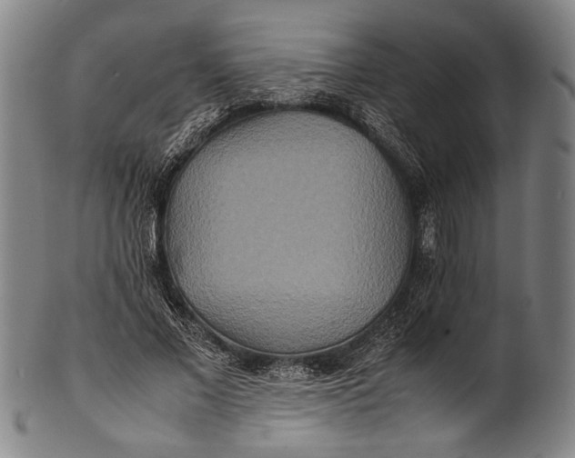 X0000100850685200807111216