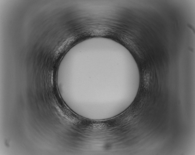 X0000100850686200807111216