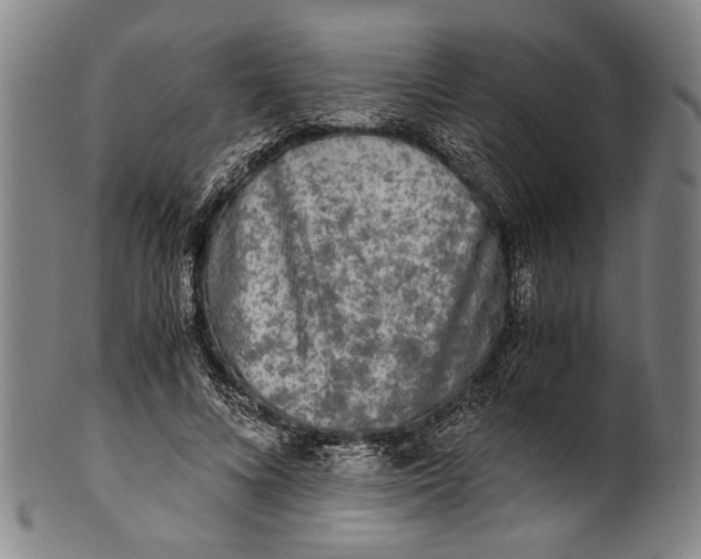 X0000100850688200807111216