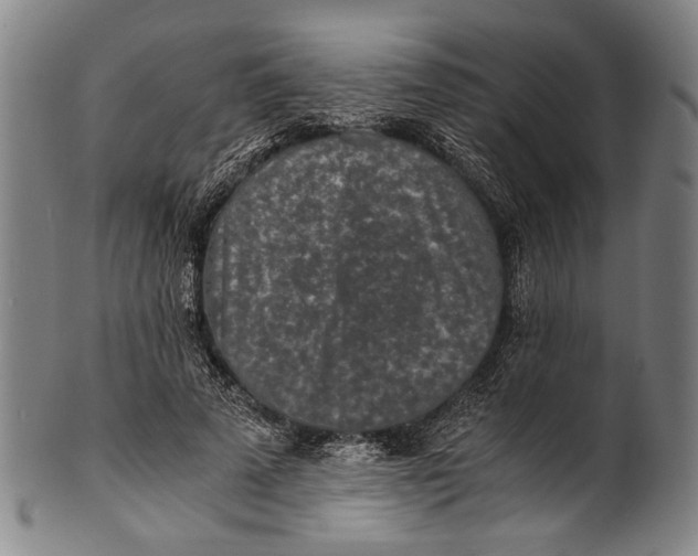 X0000100850689200807111216