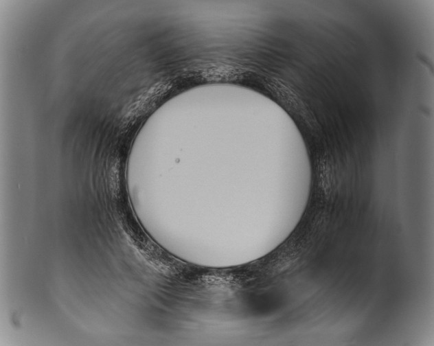 X0000100850690200807111216