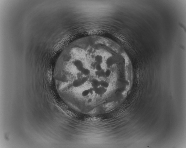 X0000100850691200807111216