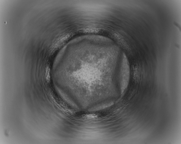 X0000100850692200807111216