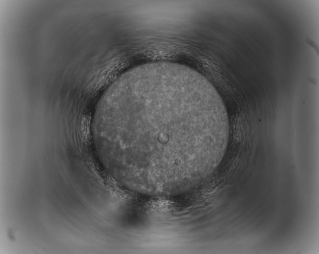 X0000100850695200807111216