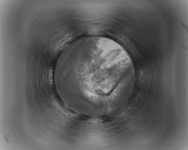 X0000100850696200807111216