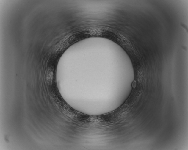 X0000100850697200807111216