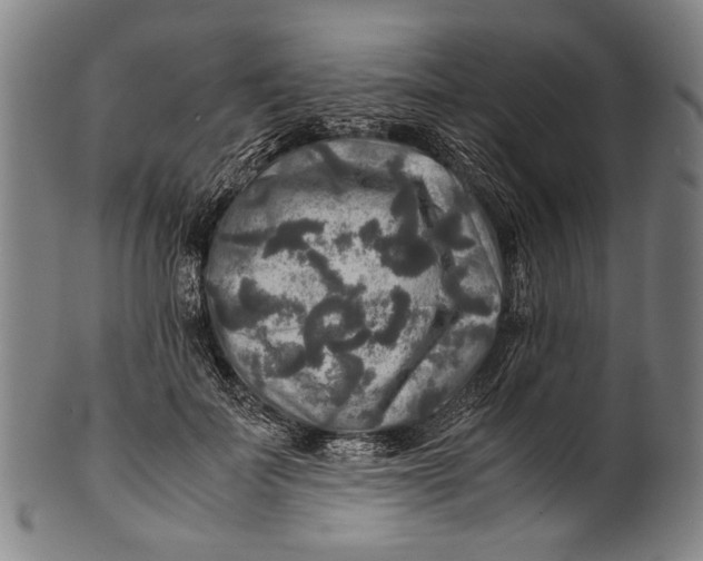 X0000100850699200807111216