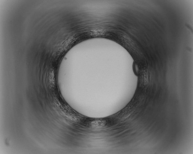 X0000100850700200807111216