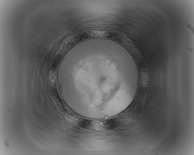 X0000100850701200807111216